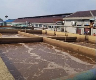出水氨氮大于進水氨氮，怎么回事？