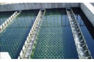 【干貨】生物濾池為什么一受沖擊氨氮去除率就會(huì)下降？